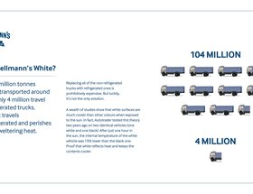 Hellmann's White