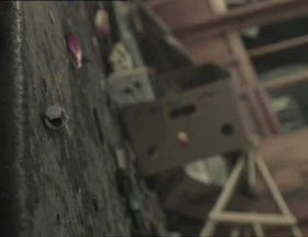 Tick