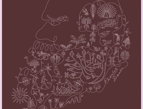 Darwin Poster